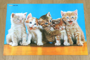 KODAK Color Film（コダック カラーフィルム）5匹の猫ポスター　昭和レトロ　ポスター　非売品　レア　未使用　保管品