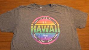 【HAWAII】ALOHA ハワイで購入ハワイのTシャツ サイズL　ホノルル オアフ島　USDM高速有鉛JDM世田谷ベースHDM　808　USED マウイ　カウアイ