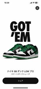 Nike SB Dunk Low Pro Black and Classic Greenナイキ SB ダンク ロー プロ ブラック アンド クラシックグリーン27.0cm