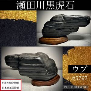 《GW感謝祭》水石 盆栽 瀬田川黒虎石 ウブ 横24×高14.5×奥行9.5(cm) 3.24kg骨董盆石古美術鑑賞石観賞石太湖石中国古玩 5797