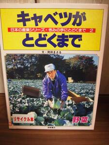 キャベツがとどくまで　野菜　日本の産業シリーズ　児童書