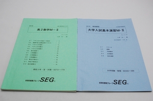 ☆SEG　「高2数学M-Ⅱ」、「大学入試基本演習M-Ⅱ」　高校数学テキスト　2冊セット