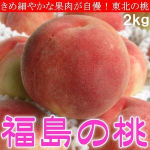 4個出品 福島県産 桃 あかつき 白桃 2kg化粧箱 予約 8月上旬頃から出荷 さんきん 1円