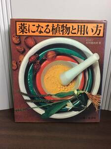 薬になる植物と用い方 木村雄四郎　F323