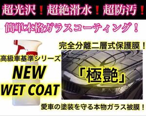 超絶滑水性 プレミアム ガラスコーティング剤 500ml(本物強力ガラス被膜！洗車傷隠蔽効果！超簡単ムラ無し！超光沢施工！最高級グレード！)