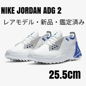 【レアモデル新品】NIKE JORDAN ADG 2 ナイキ ジョーダン25.5