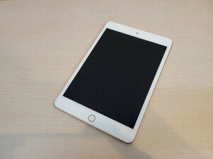 ジャンク iPad mini 第5世代 Wi-Fi 256GB ゴールド Wi-Fiモデル　A2133