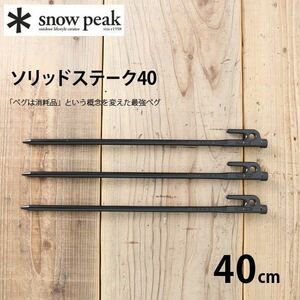 スノーピーク　ソリッドステーク40 【10本セット】R-104 snow peak