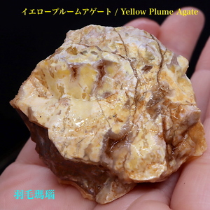 【送料無料】イエロープルーム アゲート 瑪瑙 53,3g YPA013 鉱物 原石 天然石 パワーストーン