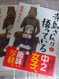 寺島さんは悟っている 1巻 浦津ゆうじ 直筆イラスト入りサイン本 2冊セット