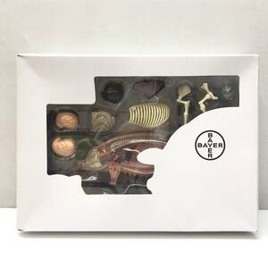 ☆中古品☆ 4DMASTER 模型 4D VISION PIG ANATOMY MODEL 4Dビジョン アニマル ブタ ②