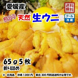 生ウニ 板ウニ 訳あり 60g5枚 愛媛 天然 紫ウニ 赤ウニ 素潜り海士 送料無料 北海道/沖縄/東北は別途送料 浜から直送 宇和海の幸問屋