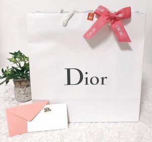 クリスチャン・ディオール「Christian Dior」ショッパー (2547) 正規品 付属品 ショップ袋 ブランド袋 カードおまけ わけあり 折らずに配送