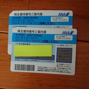 ANA 全日空 通知のみ 株主優待券 2枚セット　2024/5