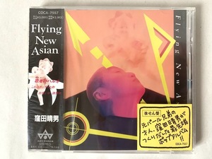 未開封 見本品 窪田晴男 Flying New Asian 元 パール兄弟 プロモ盤