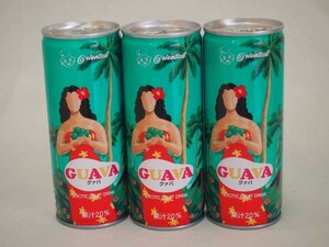 オリエンタル グァバ 250g缶×3本(愛知県)