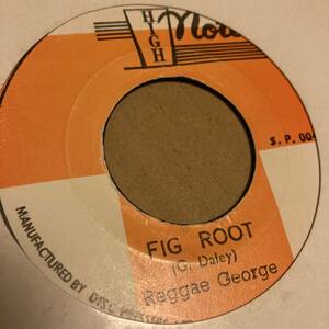 Reggae George / Fig Root