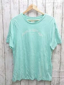 NIKE ナイキ Tシャツ 半袖 HAVE A NIKE DAY　バックプリント　シューズBOX　カットソー XLサイズ ブルー レディース 1206000014613