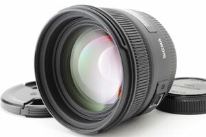 [AB Exc+] SIGMA 50mm f/1.4 EX DG HSM AF Lens for Four Thirds 4/3 From JAPAN 8888