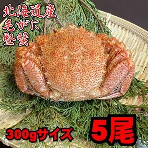 【北海道産】毛がに　5尾（300ｇサイズ）　堅蟹　毛蟹　けがに　ケガニ　蟹　かに　ボイル　母の日　父の日　お中元　お歳暮