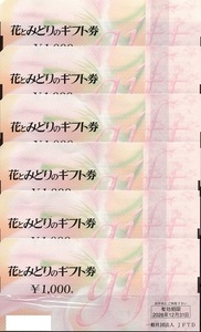 花とみどりのギフト券１０００円券６枚売り。期限２０２６年１２月３１日。