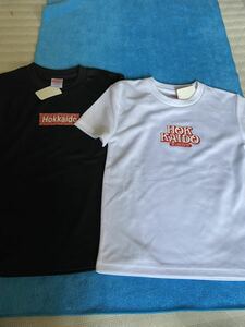北海道 Tシャツ キッズ 男女兼用 130cm 2枚セットHokkaido 未使用 半袖Tシャツ