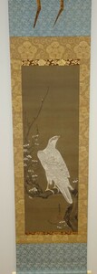 rarebookkyoto　ｋ48絵資料　曽我直庵/　白梅鷹圖　　絹本設色　箱付き 　1700年頃作　桃山　文人画　皆川淇園　