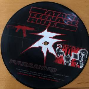 ATARI TEENAGE RIOT/ASIAN DUB FOUNDATION　split picture record