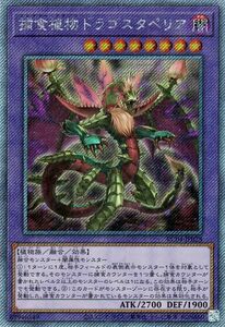 遊戯王 捕食植物ドラゴスタペリア(エクストラシークレットレア) レアコレ 2023 （RC04） プレデター プランツ 融合 植物族