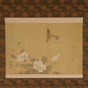 【模写】 蔵壷◆『朝顔小禽図』 1幅 古筆 古文書 古書 日本画 花鳥画 茶掛軸