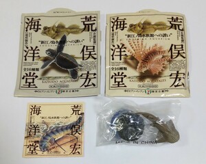 送料120円〜 シノノメサカタザメ 新江ノ島水族館への誘い 海洋堂 ボトルキャップ フィギュア コレクション 検) 非売品 カプセルQ チョコQ