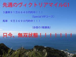 ＪＲＡ中央競馬予想 オークスＧ１　先週91万馬券＆41万馬券連続的中！！！　無双状態！！！