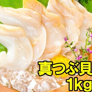 つぶ貝開き　冷凍ツブ貝　生食可　大容量　格安　お刺身や寿司ネタに