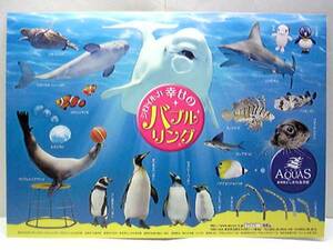 送料無料◆◆しまね海洋館アクアス　シロイルカバブルリングシール◆◆島根県江津市・水族館☆☆幸せのバブルリング♪♪♪即決!