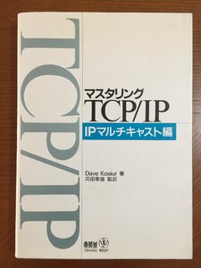 マスタリングTCP/IP IPマルチキャスト編