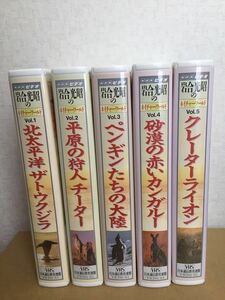 NHKビデオテープ 岩合光昭のネイチャーワールド Vol.1～Vol.10 日本通信教育連盟 VHS全10巻