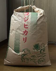 美味しい〜 新潟産 令和 ５年 ☆ 新米 コシヒカリ 25 kg
