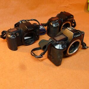 b019 Canon フィルムカメラ 3点まとめ EOS Kiss/EOS 100/EOS 650 /60