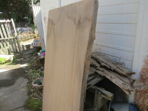 鹿児島　　　屋久杉原木　未加工　一枚板　　　自然乾燥約２０年