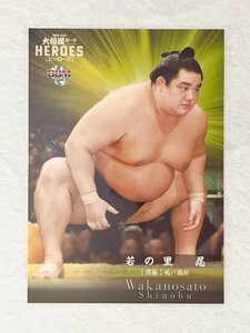 ☆ BBM2021 大相撲カード レジェンド HEROES レギュラーカード 関脇 31 若の里忍 ☆