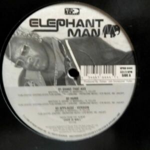12inchレコード　 ELEPHANT MAN / SHAKE THAT ASS