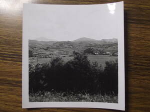 古写真　歴史資料　1949年9月長崎県長崎市　テラスは土の隅々まで利用します　写真裏撮影年月日と英文　訳すると　