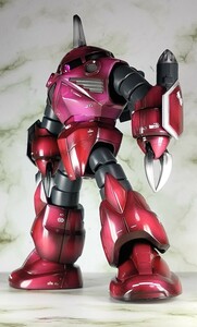 ガンダム SEED FREEDOM フリーダム　アスラン専用 ズゴック インフィニット ジャスティス 弐式　塗装済み完成品 バンダイ ガンプラ ＨG