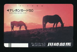 ●696●川崎競馬★夕日の草原の馬２頭／フリー110-3250 【テレカ50度】●