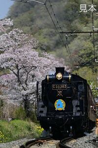 鉄道写真　旧型客車を牽引して秩父鉄道を走るSLパレオエクスプレス号 No.1