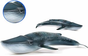 クジラ シロナガスクジラ リアル　鯨類 海洋動物 フィギュア プラモデル おもちゃ 模型 28cm こども 孫への誕生日 プレゼント インテリア