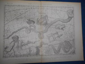 アンティーク天球図、天文暦学書Astronomy 星座図絵1801年復刻『ボーデの星図ウラノグラフィア17』Star map, Planisphere, Celestial atlas