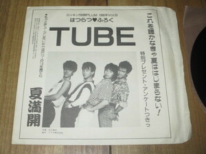 美盤 TUBE この夏はココからはじまる!! チューブのSEA SIDE TALK 夏を追いかけて ソノシート ロッキンf 別冊 PLUM 1986年 Vol.9 前田亘輝