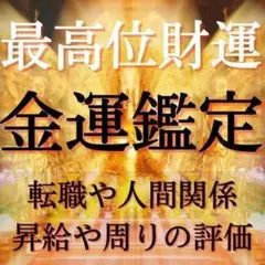 現役霊能者による金運鑑定占い/仕事・転職・人間関係・天職・就職【初回限定価格】