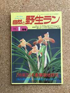 自然と野生ラン 1993年1月号　ウチョウラン 雪割草 富貴蘭 長生蘭 ※ 園芸JAPAN